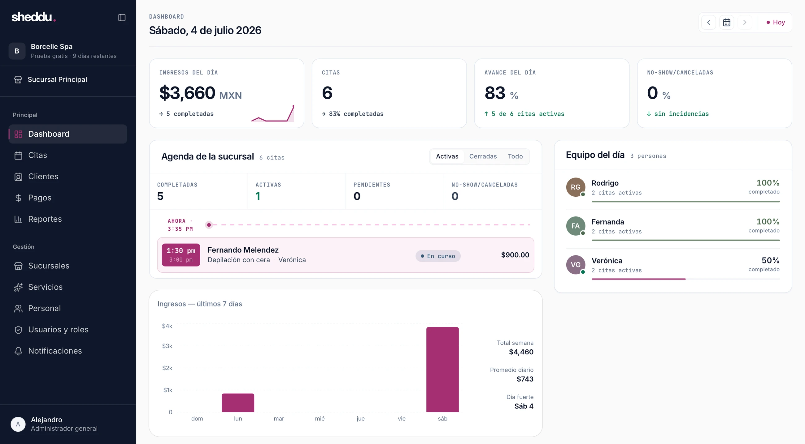 Panel de Sheddu · Dashboard del negocio